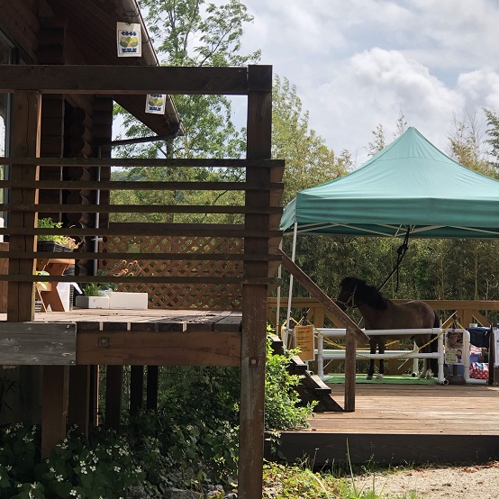 ���O�n�E�X�ƃt�@���g������